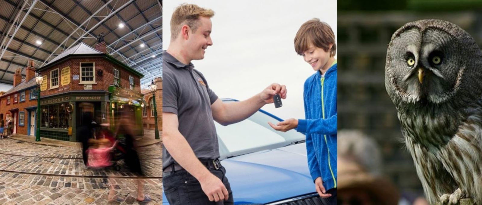 Milestones, Thruxton and Hawk Conservancy Trust competition